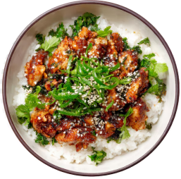 Healthy Gourmet Rice Bowl